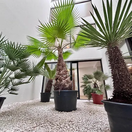 Baltic Waves & Miedzyzdroje