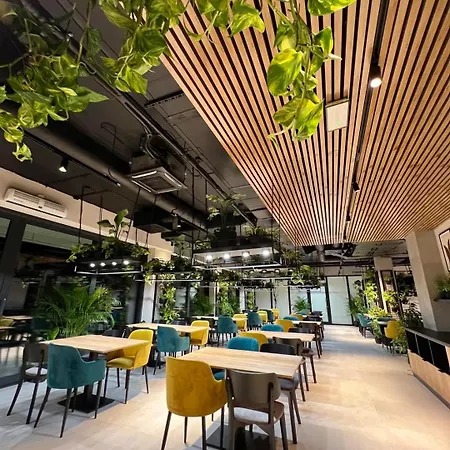 Baltic Waves & 公寓 米兹多洛杰